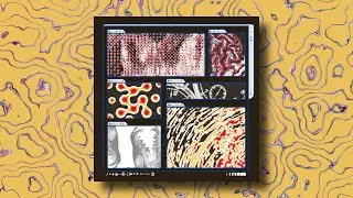 Saapato - Active Decay (with Patricia Wolf)