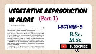 Algae lecture 3|| Vegetative reproduction in algae #algae #reproduction #mscbotany 