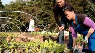 Harvesting the Winter Garden