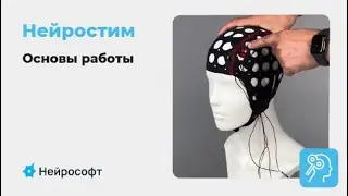 Нейростим: наложение электродов для микрополяризации и tDCS, работа с ПО