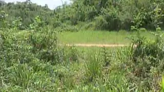 Another Roaring Creek Youth Gunned Down, Body Recovered In Camalote