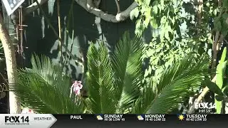 Sawtooth Botanical Gardens asking for donations