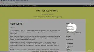 049 Working with the comments php template
