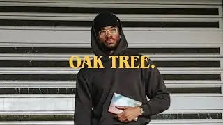 Oak Tree - Evi Ehvee(Acoustic Practice)