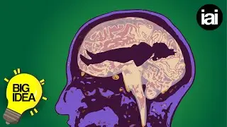 Patricia Churchland: Consciousness is all in the brain | The Big Idea