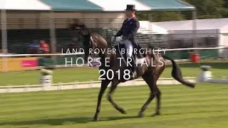 The Best of the Best Oliver Townend's Dressage Test