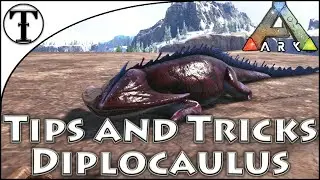 Fast Diplocaulus Taming Guide :: Ark : Survival Evolved