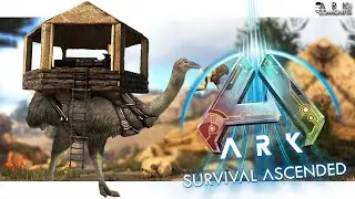 NEW Dino Vote for Scorched Earth! ASA Content & Server Update  - ARK Community News