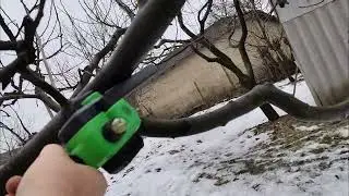 Sa terminat revizia la stupi și sa început tăierea la pomi!