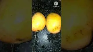 Karnataka special mango shrikarni
