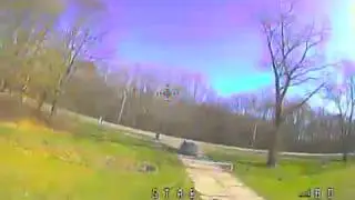 GoFly Falcon CP90Pro - Second test flight, 2S, different rate settings