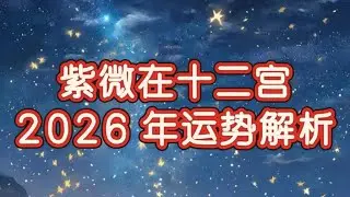 2026年紫微12宫基本盘年运解析