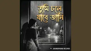 Tumi Chole Jabe Jani