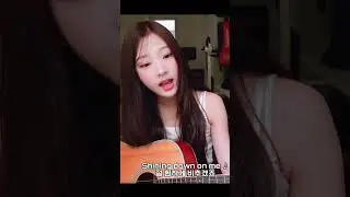 Stella Cover - My Love Mine All Mine by Mitski #hearts2hearts #cover #stella