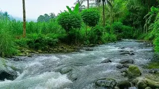 Bergbach & Waldfluss – Sanfte Wassergeräusche für tiefen Schlaf und Entspannung