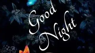 Good night status video 2021 training good night status video download free