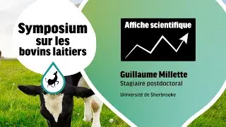 Nouvelle classe d'antibiotiques contre la mammite à S. aureus, compatible avec Une Seule Santé
