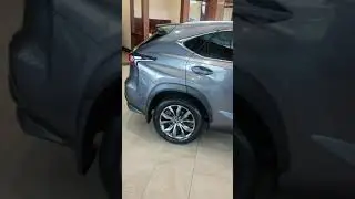 Ann's LEXUS NX 300, aaannnndddd TC