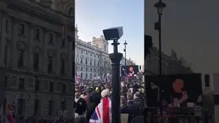 Pro-Brexit Protest -  