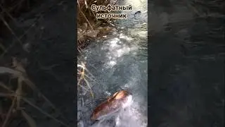 Испания, Романские сероводородные купальни в городе Касарес#обзор#источники#испания#малага#бассейн
