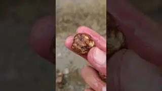 That's really expensive stone in the world #stones #crystals #stoneinternational #gemstones #united