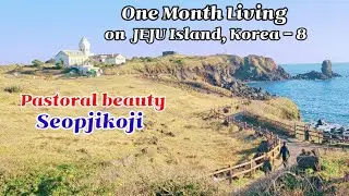 One Month Living on JEJU Island, Korea 8 -  Seopjikoji' pastoral beauty