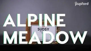 NEW Sudsy Alpine Meadow Shampoo Bar for Dogs