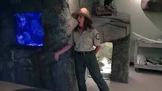 Doheny State Beach Visitor&rsquo;s Center Virtual Tour ~ Springtime 2021