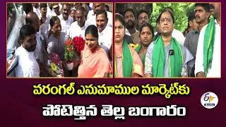 Konda Surekha Inaugurated Cotton Buying Center | వరంగల్&zwnj; ఎనుమాముల మార్కెట్&zwnj;కు పోటెత్తిన తెల్ల బంగారం