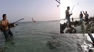 Fishing in Qatar l I Just Saw Someone Fishing Using Chicken Legs as Bait 😂 l Fishing in Dukhan