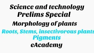 Plant morphology