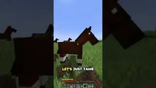 Super Horse in Minecraft!