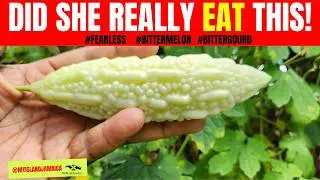 😲If you EAT bitter melon, you SHOULD watch this! #bittermelon #🇯🇲