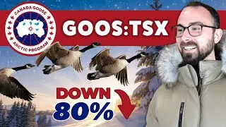 Feathers Ruffled as Canada Goose Holdings (GOOS:TSX) Stock Falls 80%