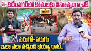 కరీంనగర్ లో కోతులకు వినూత్నంగా చెక్ .. ||Monkeys Hulchal In Karimnagar @SumanTVKarimnagar