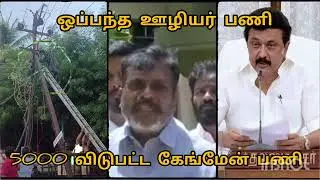 TNEB latest news | ஒப்பந்த ஊழியர் பணி | விடுபட்ட கேங்மேன் 5000
