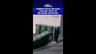 Serbian Police Release Video Of Belgrade Shooting Attack Outside Parliament