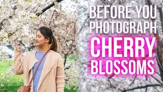 Watch This BEFORE You Shoot Cherry Blossom Photos