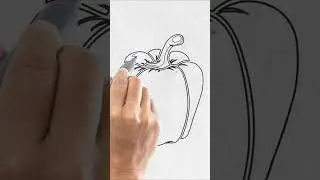 DRAWING RED BELL PEPPER