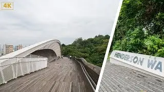 Henderson Waves Bridge Singapore | The Highest Pedestrian Bridge in Singapore | Broewnis Travel