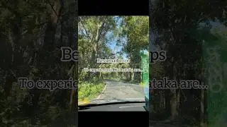 Best road trip in Karnataka🐆🌳🚙🦌 #roadtrip #roadtrips #familytrip #karnatakatravel #traveling