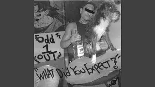 Not Another Folk Punk Song
