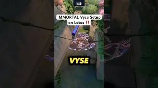 Lotus Vyse Setup That YOU NEED TO KNOW! #valorant #valoranttips