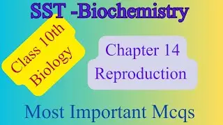 NTS Test Preparation | Biology class 10th chapter reproduction  |Tree of Knowledge