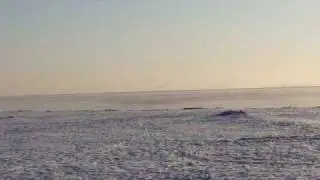 Зеленогорск. Январь 2009 года.  Gulf of Finland. Russia.