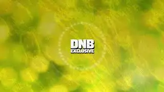 Jay Orbison - Flight FM (Simula & K Motionz Remix)