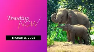 Celebrating World Wildlife Day 2023