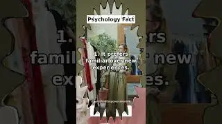 Your brain loves patterns and habits.