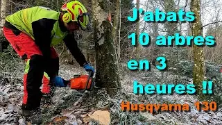 10 arbres abattus en 3 heures&hellip; d&eacute;fi relev&eacute; 😳 Husqvarna 130 🌳🪓🪵🪚🌲