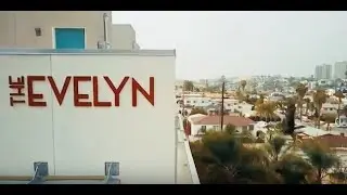 The Evelyn | Lara Hochuli